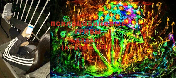 прущие крисы Горно-Алтайск
