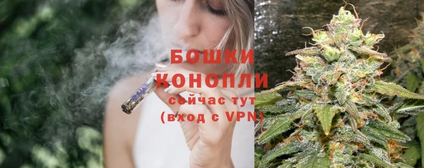 трава Вязьма