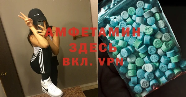 дурь Горняк